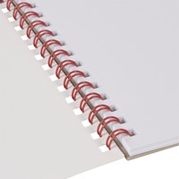 Schetsboek Papyrus ballon A3 120gr 20 vel-3