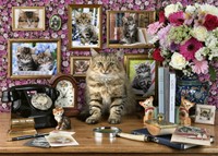 Puzzel Ravensburger Mijn katjes 1000 stukjes-2