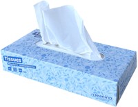 Facial tissues Cleaninq 2-laags 100stuks