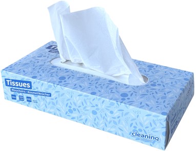 Facial tissues Cleaninq 2-laags 100stuks