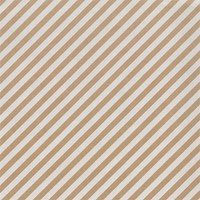 Inpakpapier Special Wrap 200mx70cm kraft assorti-1