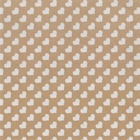 Inpakpapier Special Wrap 200mx70cm kraft assorti-2