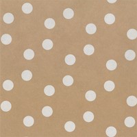 Inpakpapier Special Wrap 200mx70cm kraft assorti-3