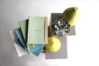 Notitieboek Rhodia A5 lijn 80 vel 90gr titanium-1