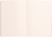 Notitieboek Rhodia A5 lijn 80 vel 90gr titanium-2