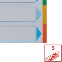 Tabbladen Esselte Standaard A4 5-delig karton 11-rings met voorblad assorti-4