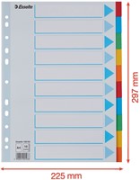 Tabbladen Esselte Standaard A4 10-delig karton 11-rings met voorblad assorti-2
