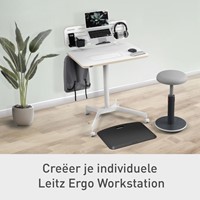 Zit-Sta bureau Leitz Ergo compact-14