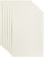 Kopieerpapier Papicolor A4 100gr 12 vel anjerwit