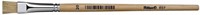 Kwast Pelikan 613F nr 20