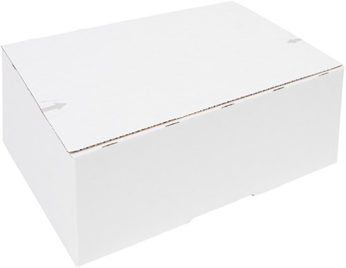 Postpakketbox IEZZY 4 305x215x110mm wit