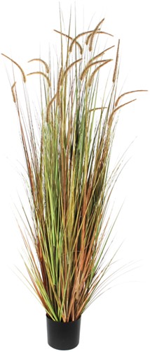 Kunst Pluimgras Dogtail 180cm groen