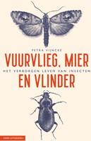 Vuurvlieg, mier en vlinder Vuurvlieg, mier en vlinder