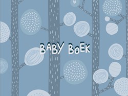 Babyboek