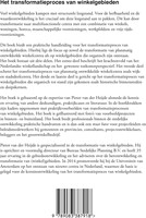 Het transformatieproces van winkelgebieden-2