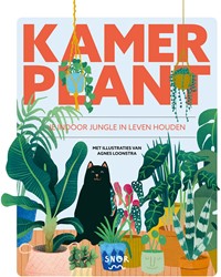 Kamerplant Kamerplant