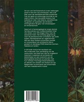 Rubenstuin-2