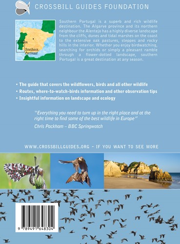 Crossbill guides Southern Portugal Southern Portugal-2