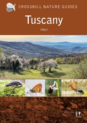 Crossbill guides Crossbill Guide Tuscany Crossbill Guide Tuscany