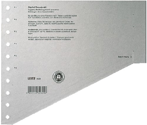 Scheidingsbladen Leitz A4 karton 200gr 11-gaats grijs 100 stuks-2