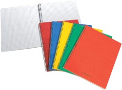 Spiraalblok Aurora 80x135mm ruit 5x5mm 100vel assorti