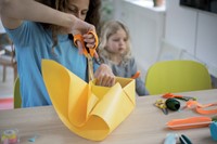 Schaar Fiskars 210mm universeel-2
